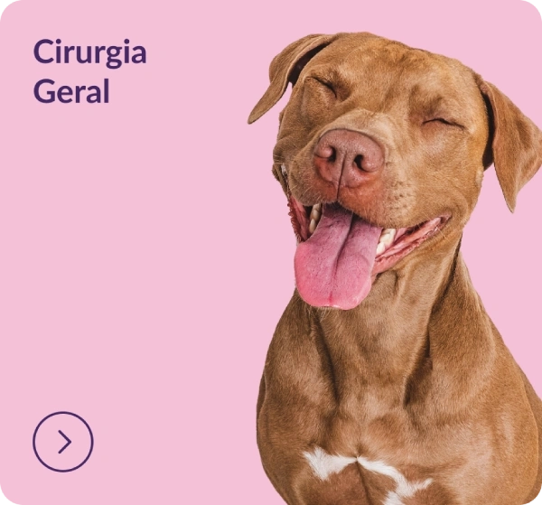 Cirurgia Geral