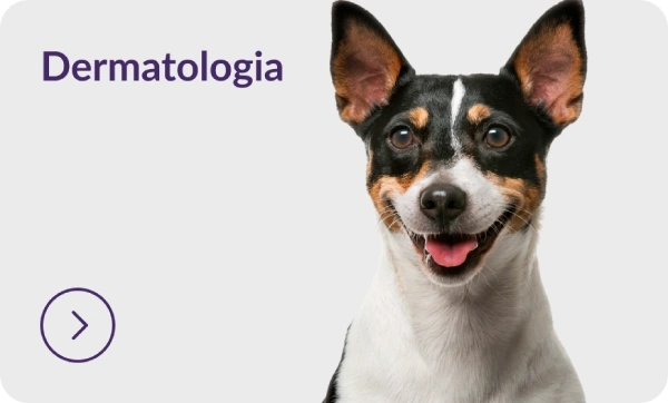 Dermatologia