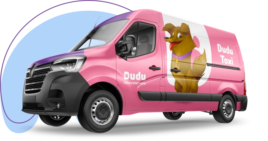 Dudu Taxi