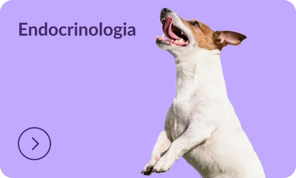 Endocrinologia