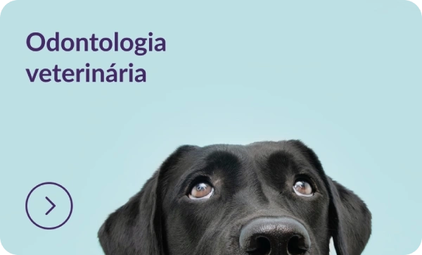 Odontologia Veterinária